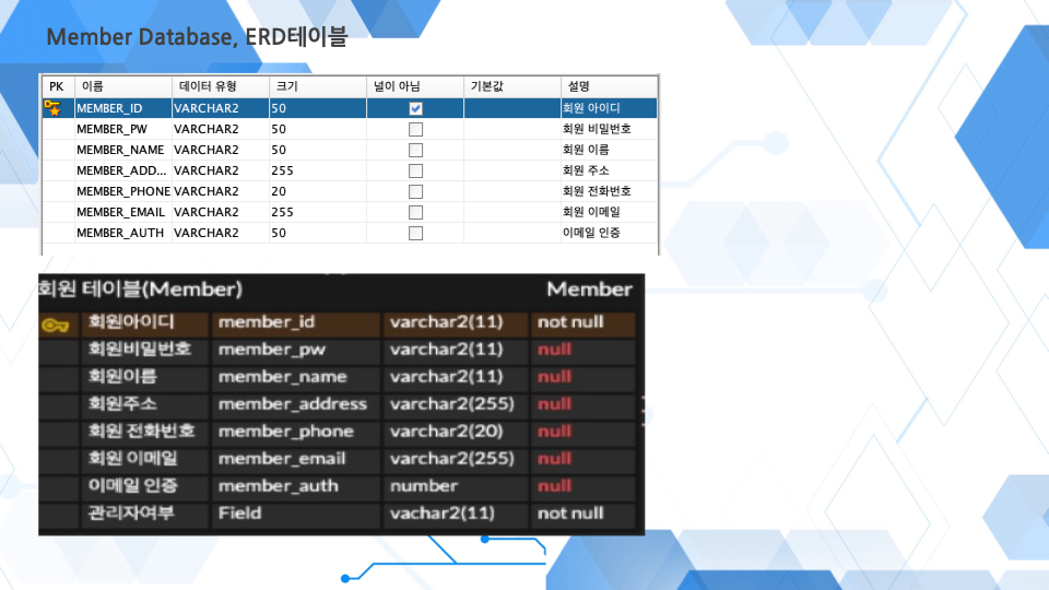 image-20240616205308730